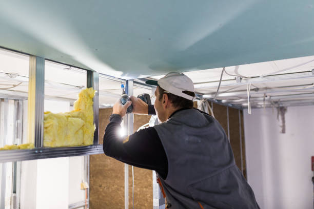 Types of Insulation We Offer in Juneau, AK