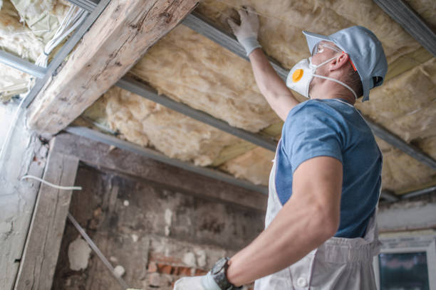 Best Residential Insulation in Juneau, AK