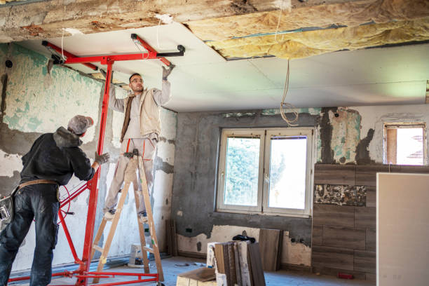 Best Eco-Friendly Insulation in Juneau, AK