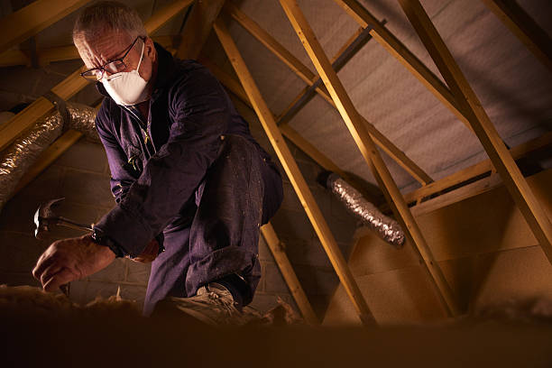 Best Insulation Maintenance and Repair in Juneau, AK